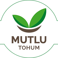 Mutlu Tohum